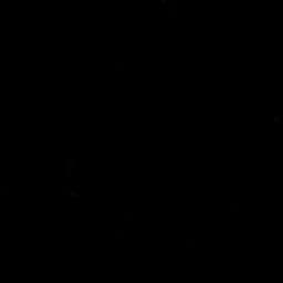  عکس پروفایل اینستاگرام دارا حیایی / darahayaei 