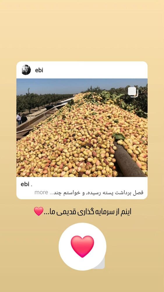  جدید ترین استوری اینستاگرام ابراهیم حامدی