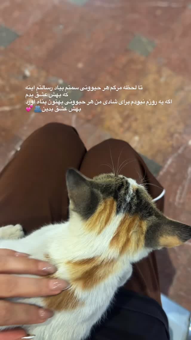  جدید ترین استوری اینستاگرام فرناز