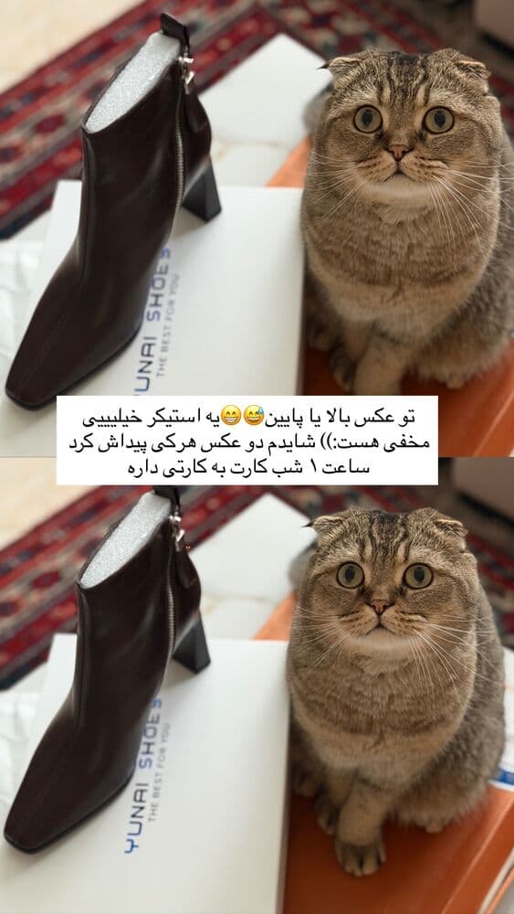 جدید ترین استوری اینستاگرام فرناز