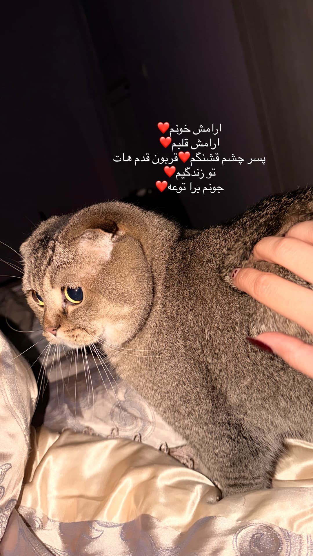  جدید ترین استوری اینستاگرام فرناز