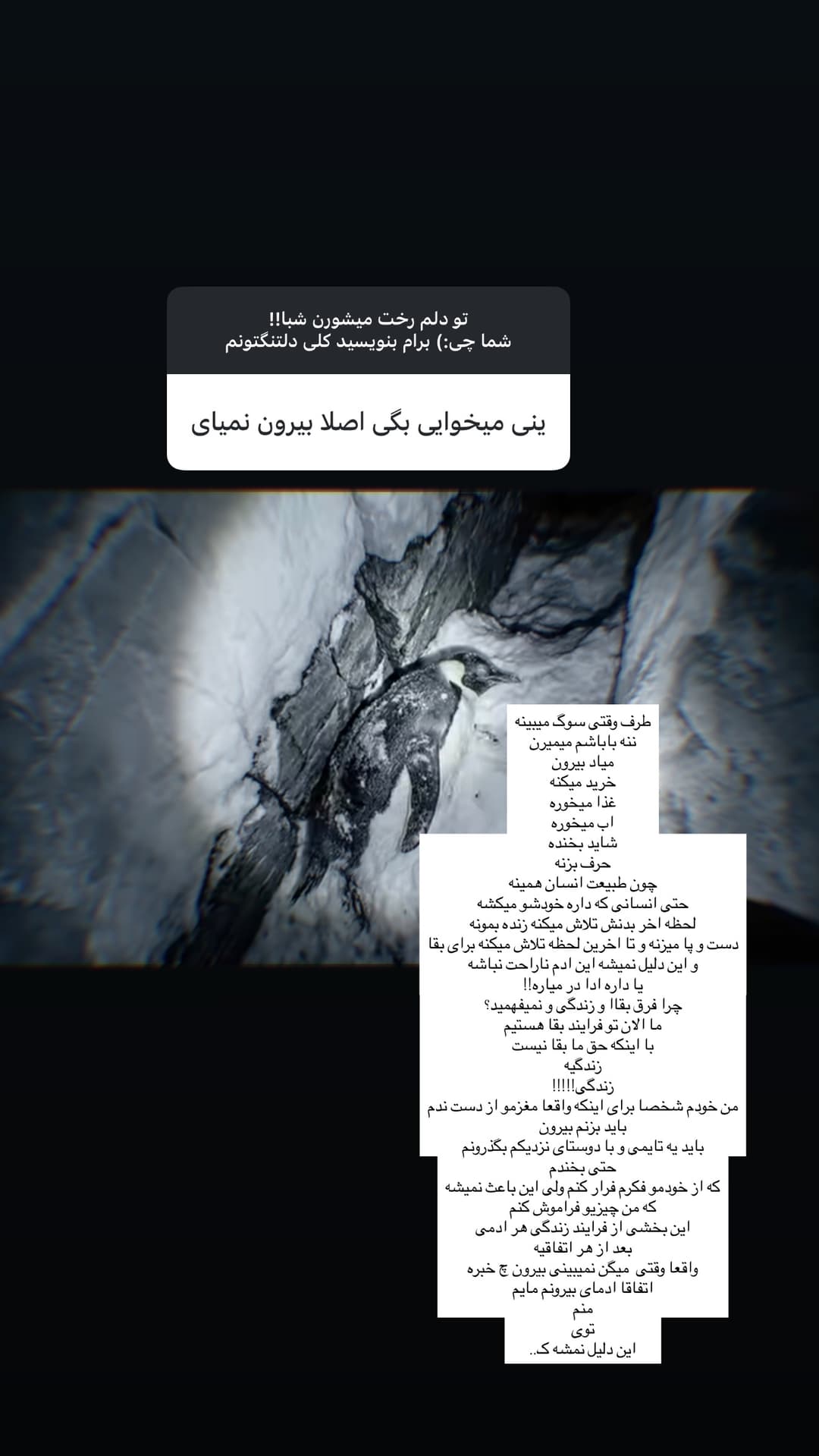  جدید ترین استوری اینستاگرام فرناز
