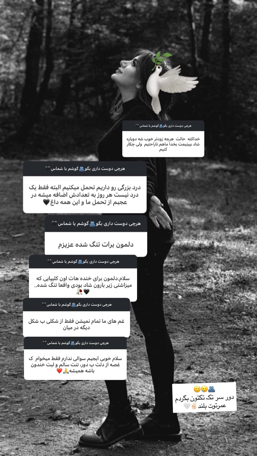  جدید ترین استوری اینستاگرام فرناز