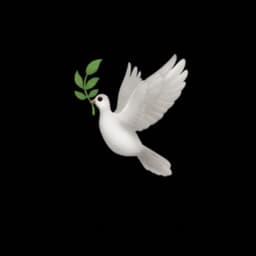  عکس پروفایل اینستاگرام ایمان صفا / iman.safa 