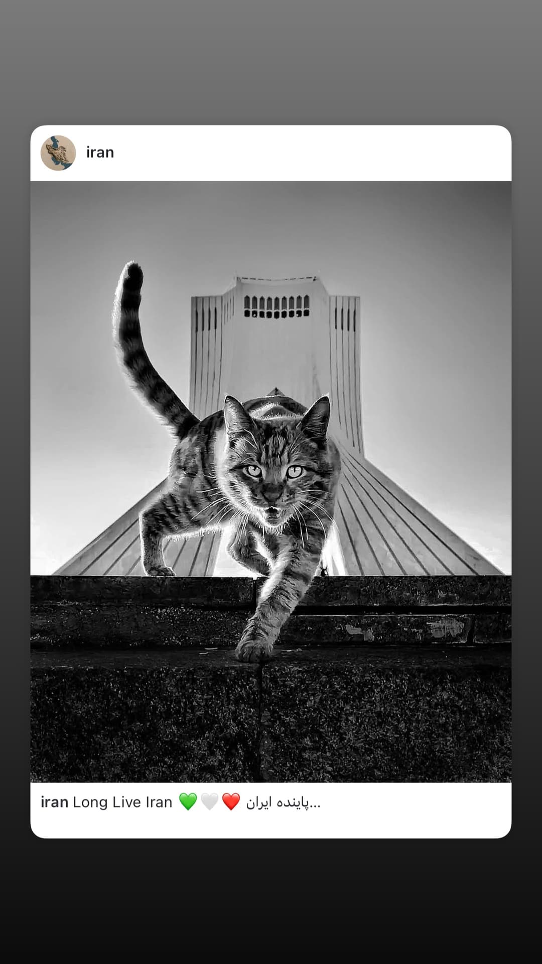  جدید ترین استوری اینستاگرام ایران