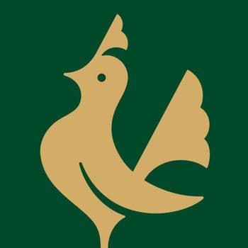  عکس پروفایل اینستاگرام ماهد / maahed.ir
