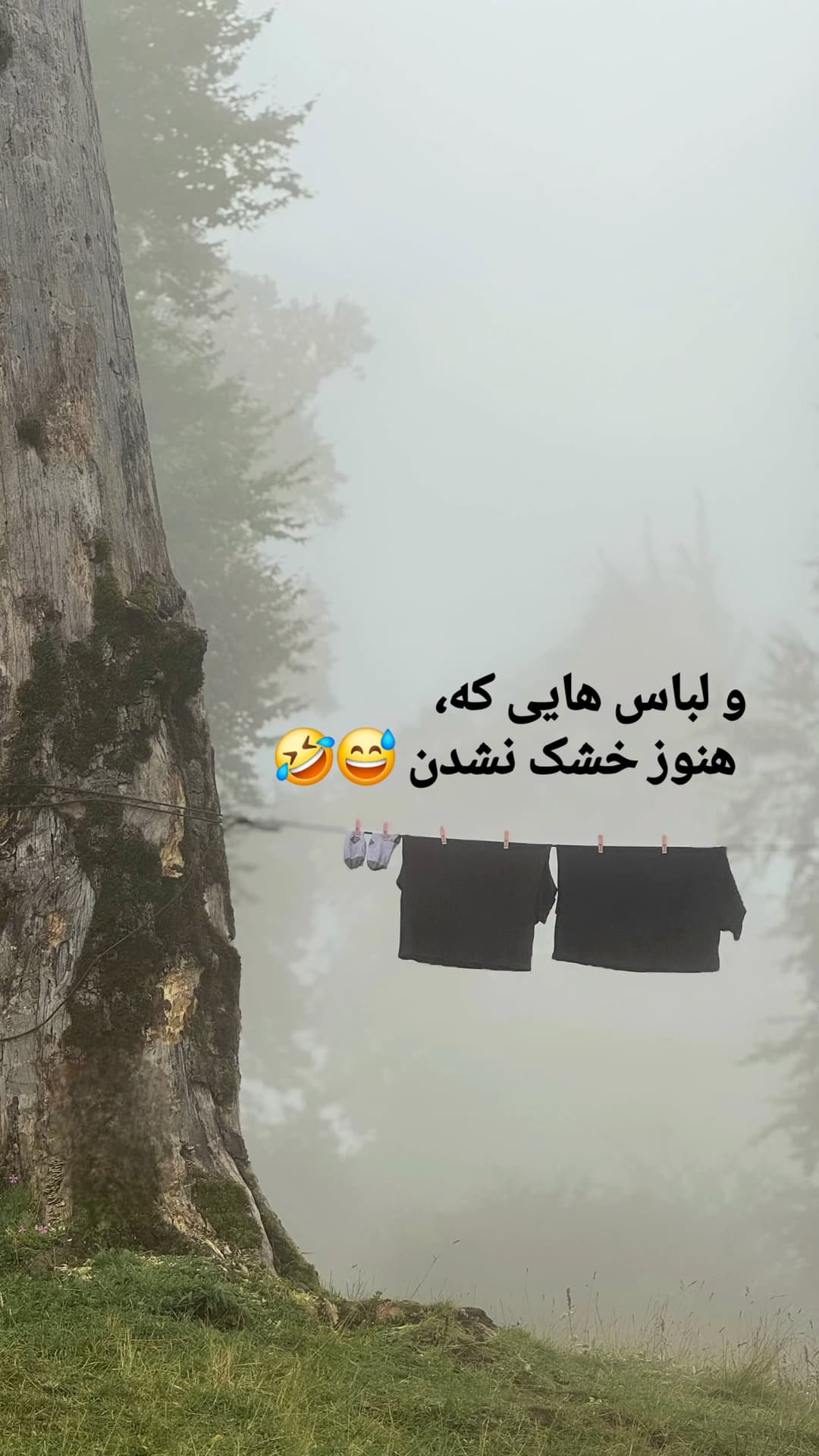  جدید ترین استوری اینستاگرام روزبه