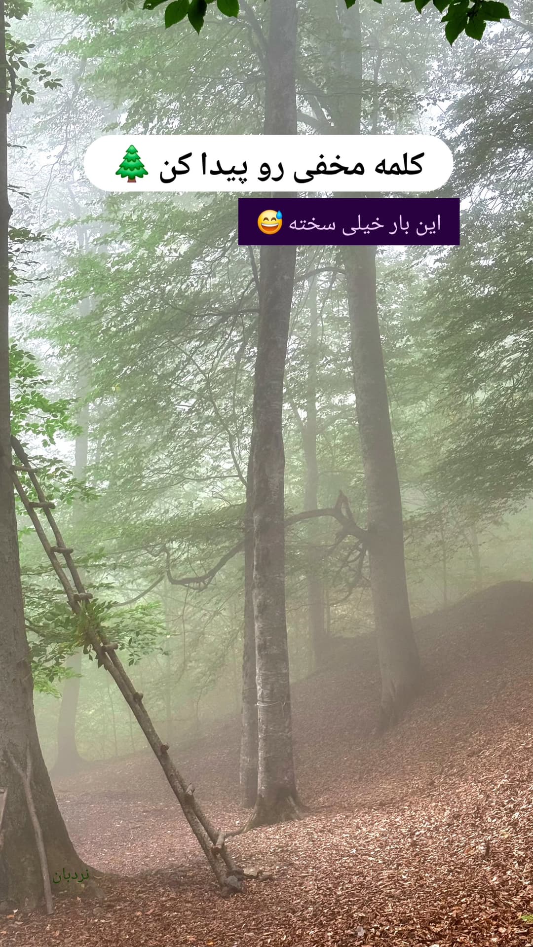  جدید ترین استوری اینستاگرام روزبه