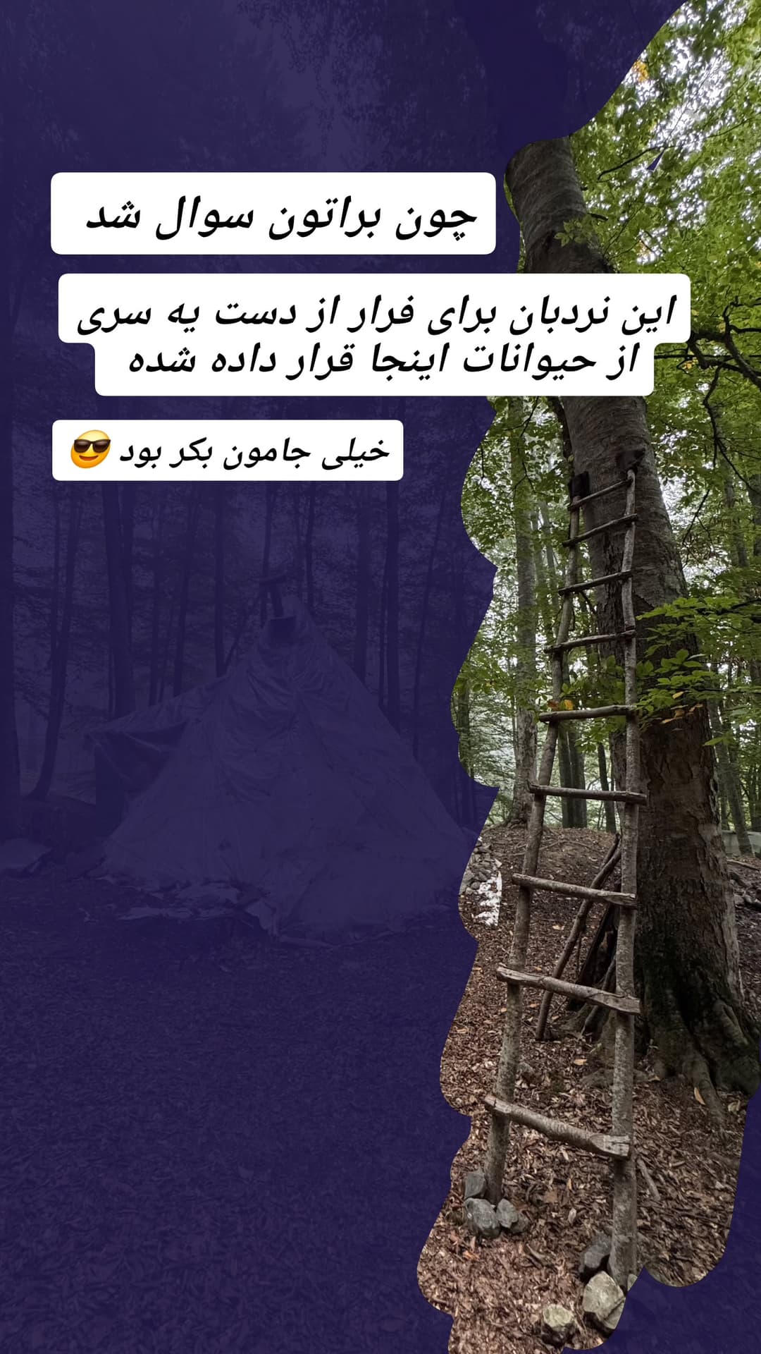  جدید ترین استوری اینستاگرام روزبه