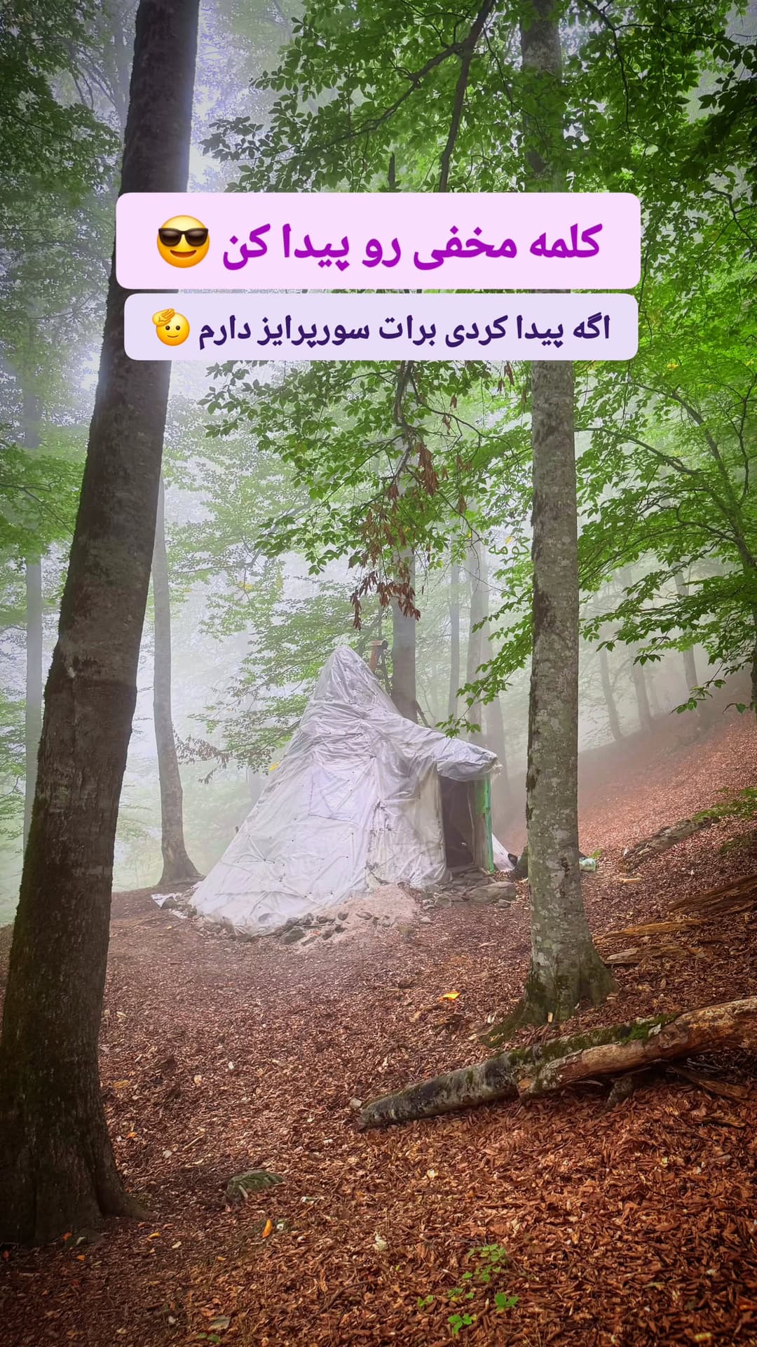  جدید ترین استوری اینستاگرام روزبه