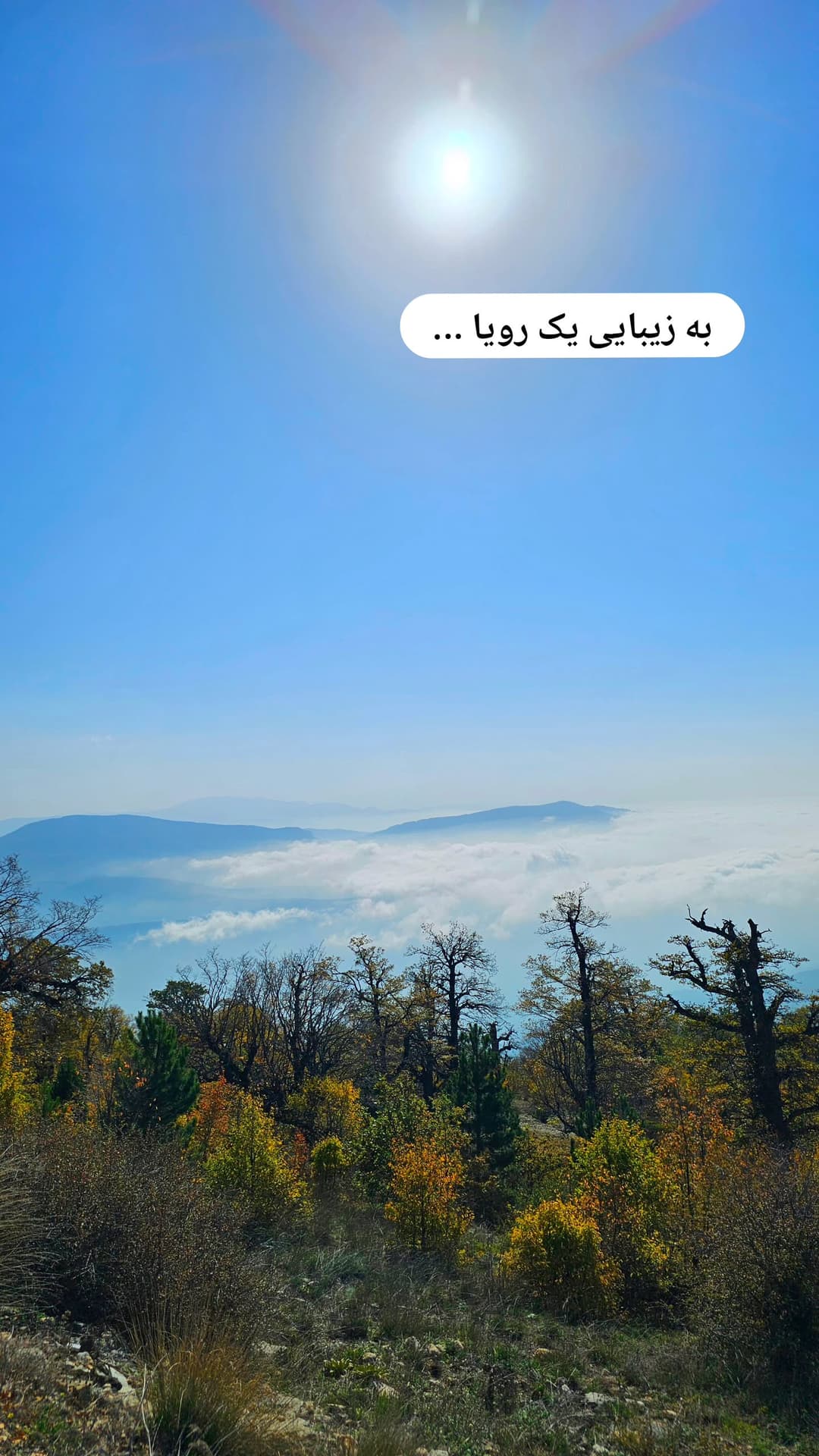  جدید ترین استوری اینستاگرام روزبه