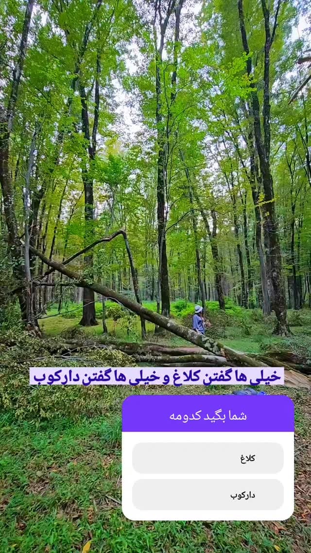  جدید ترین استوری اینستاگرام روزبه