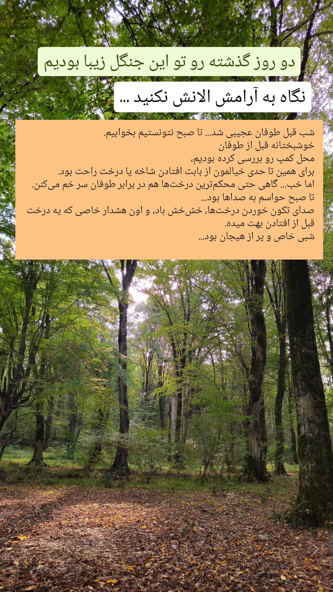  جدید ترین استوری اینستاگرام روزبه