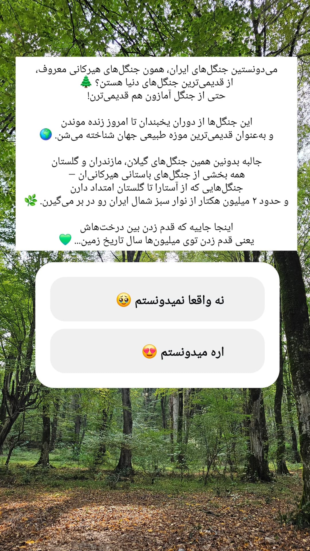  جدید ترین استوری اینستاگرام روزبه