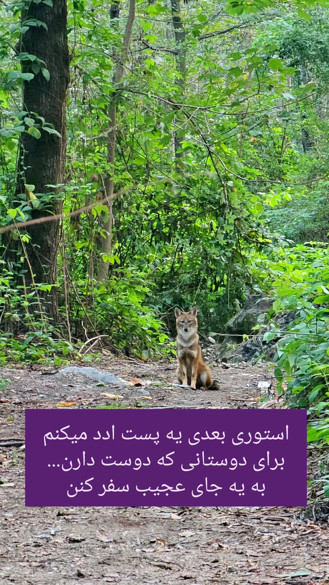  جدید ترین استوری اینستاگرام روزبه