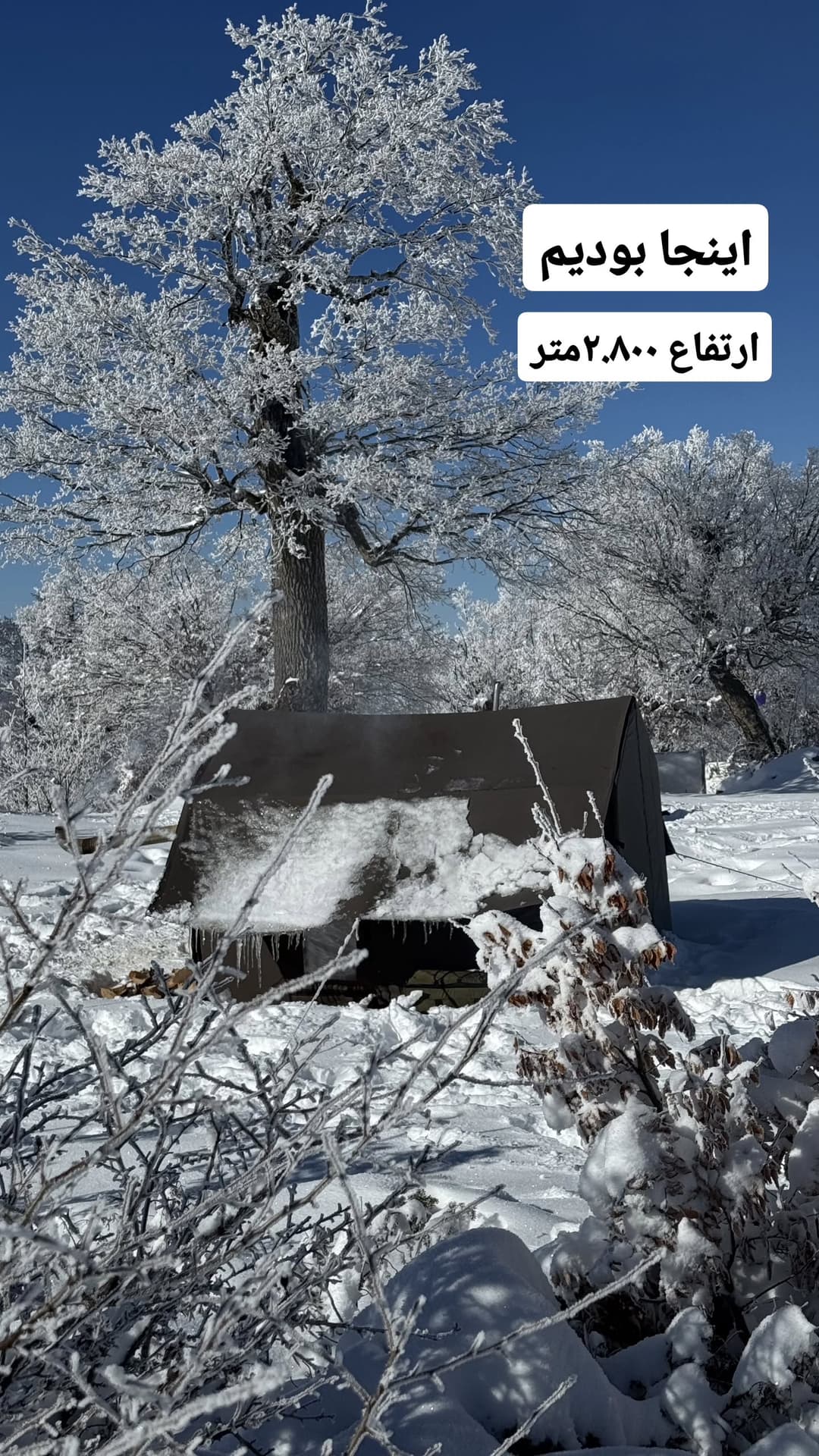 جدید ترین استوری اینستاگرام روزبه
