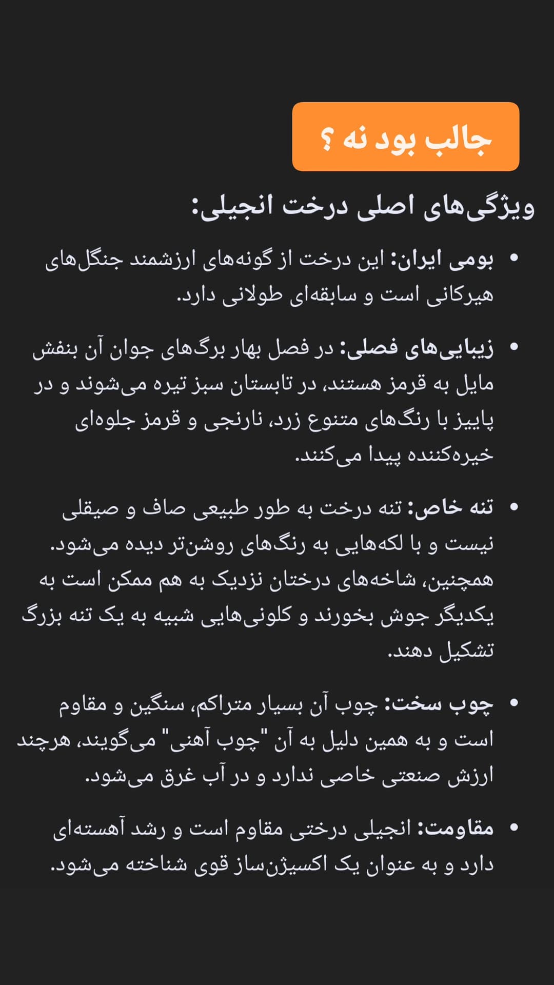  جدید ترین استوری اینستاگرام روزبه