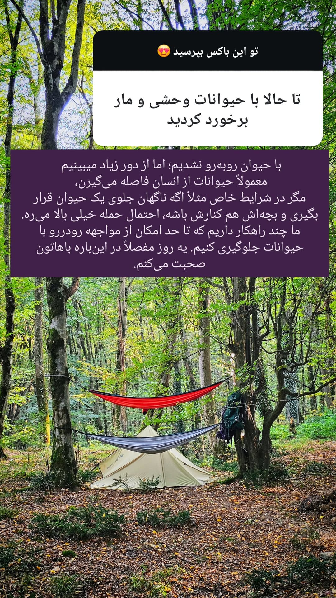  جدید ترین استوری اینستاگرام روزبه
