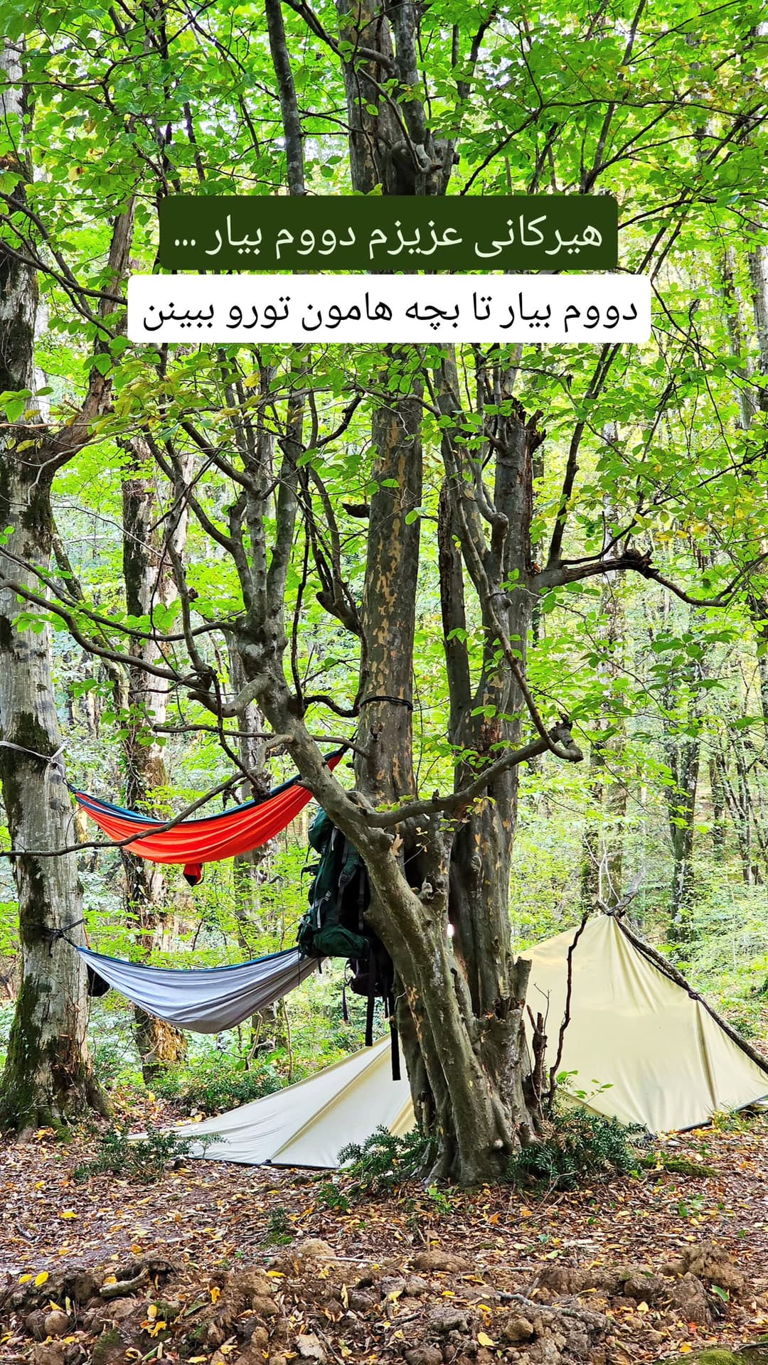  جدید ترین استوری اینستاگرام روزبه