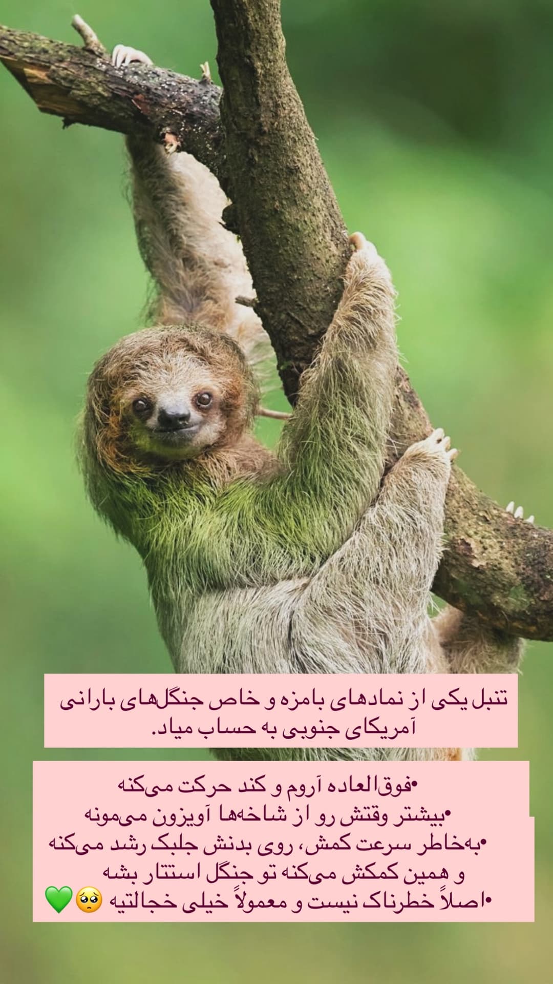  جدید ترین استوری اینستاگرام روزبه