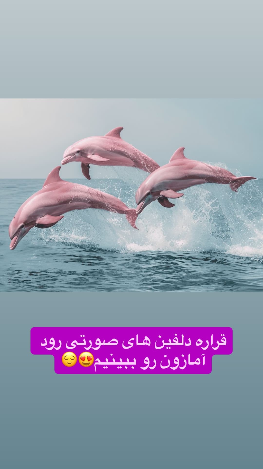  جدید ترین استوری اینستاگرام روزبه
