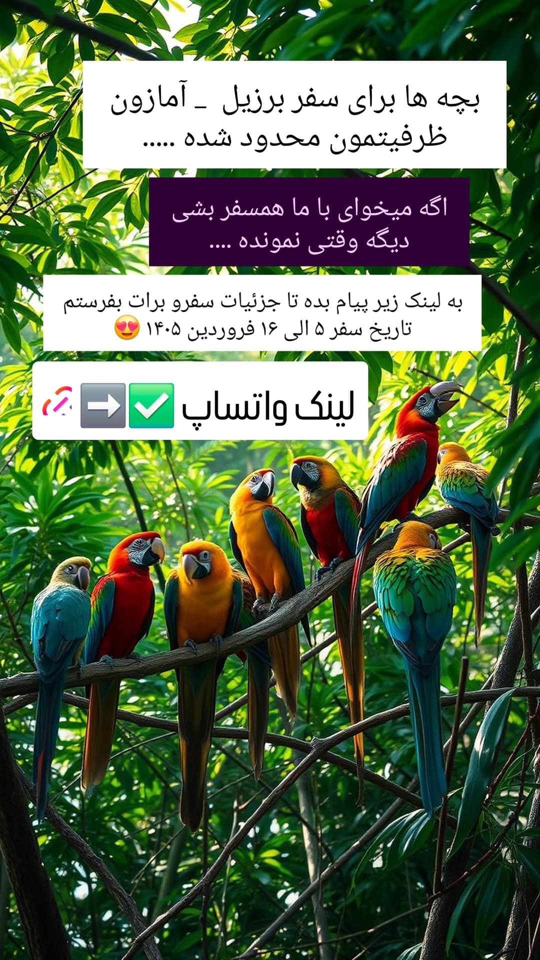  جدید ترین استوری اینستاگرام روزبه