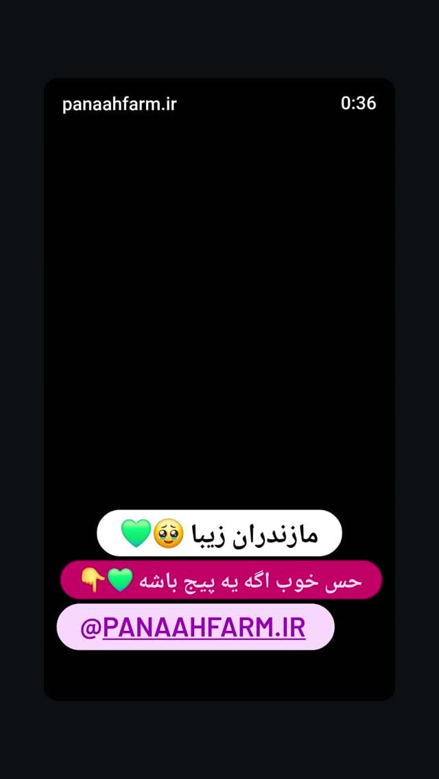  جدید ترین استوری اینستاگرام روزبه