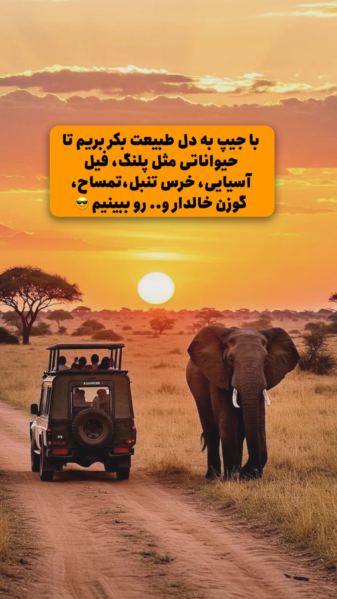  جدید ترین استوری اینستاگرام روزبه