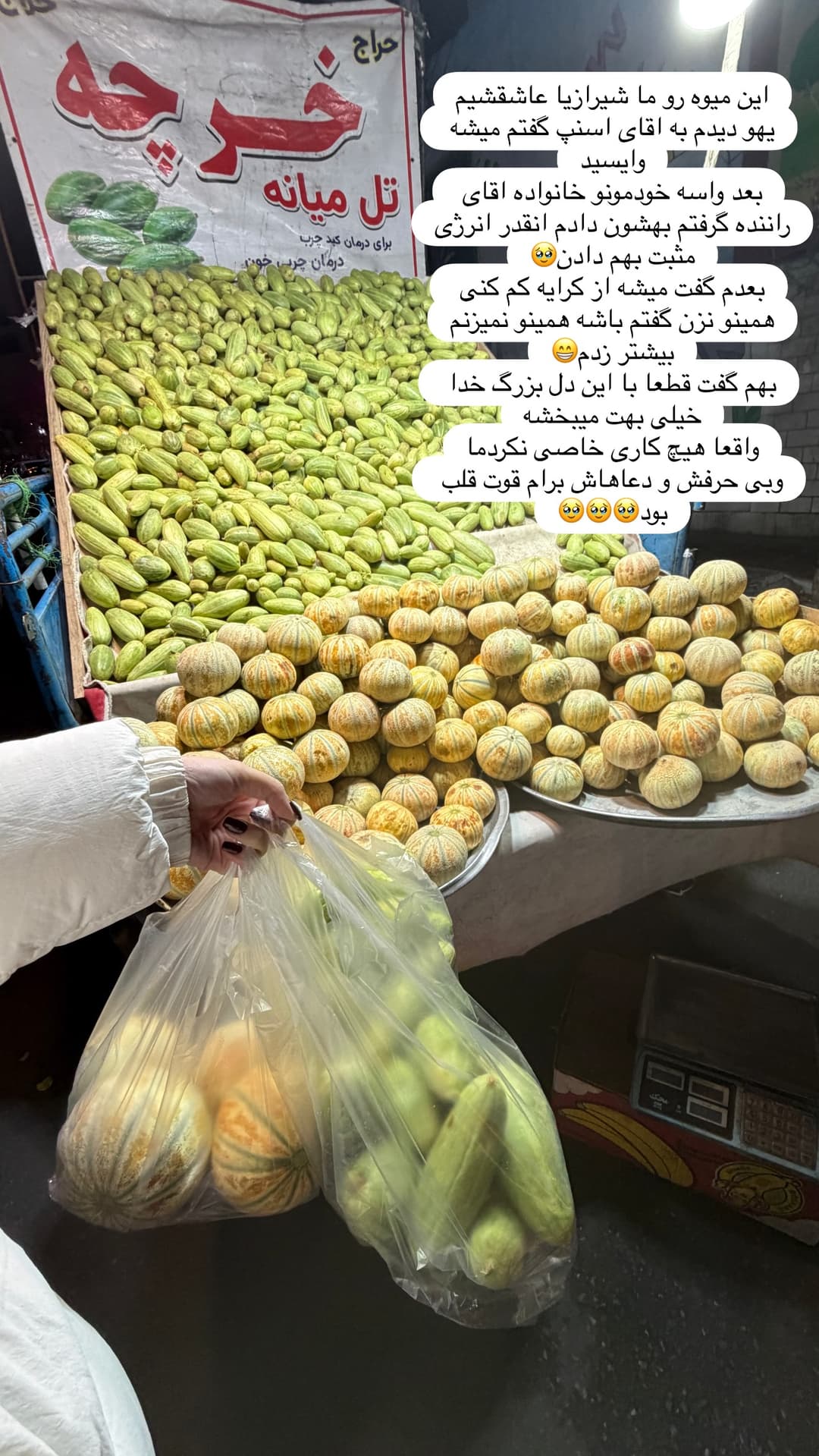  جدید ترین استوری اینستاگرام شیما