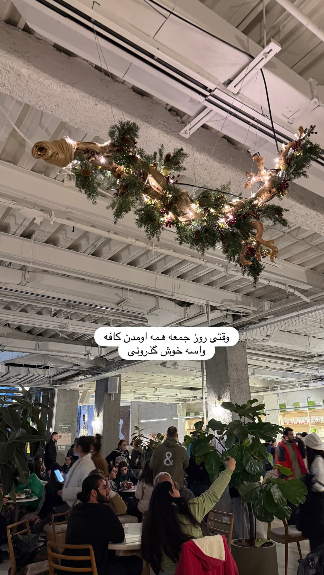  جدید ترین استوری اینستاگرام شیما
