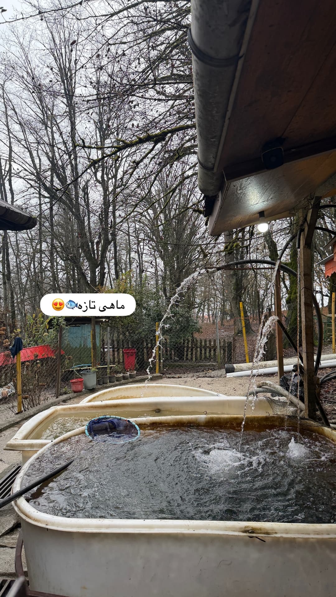  جدید ترین استوری اینستاگرام شیما