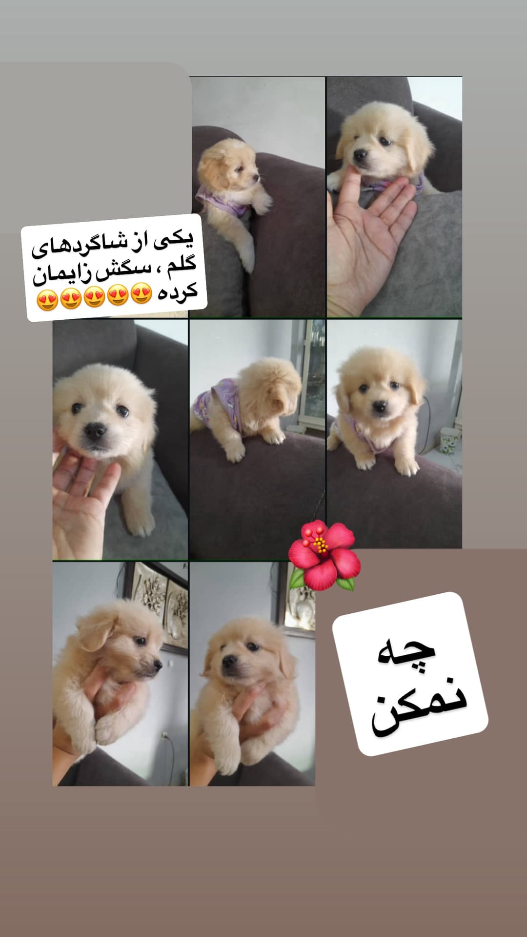  جدید ترین استوری اینستاگرام مسعود رضوی