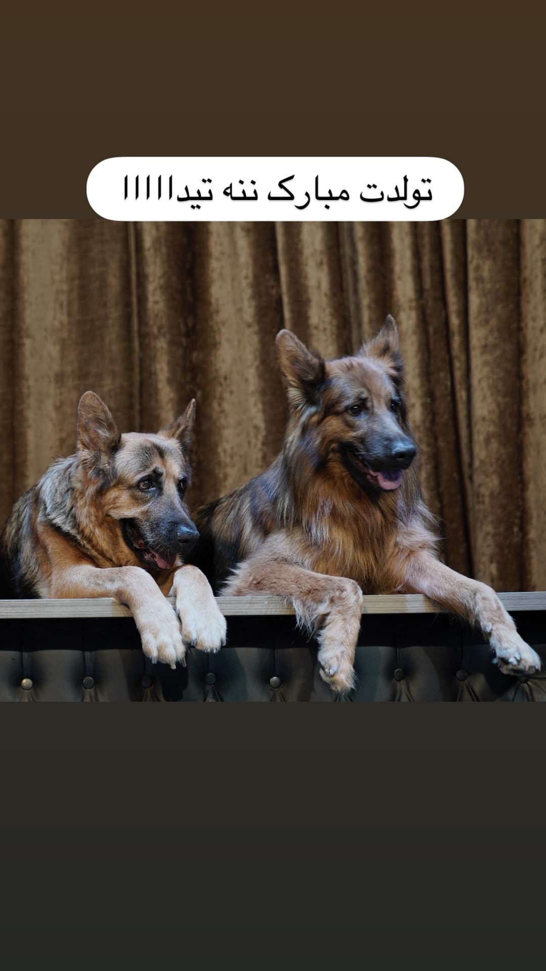  جدید ترین استوری اینستاگرام مسعود رضوی
