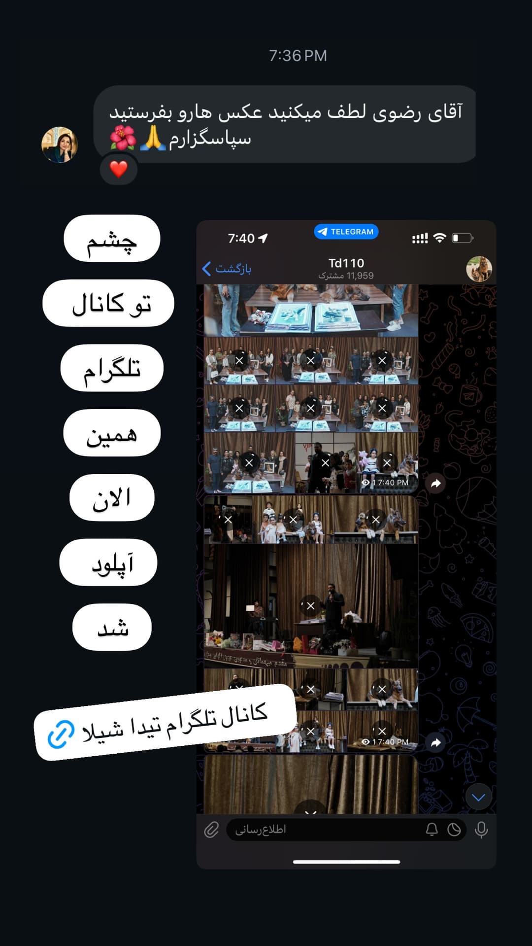  جدید ترین استوری اینستاگرام مسعود رضوی