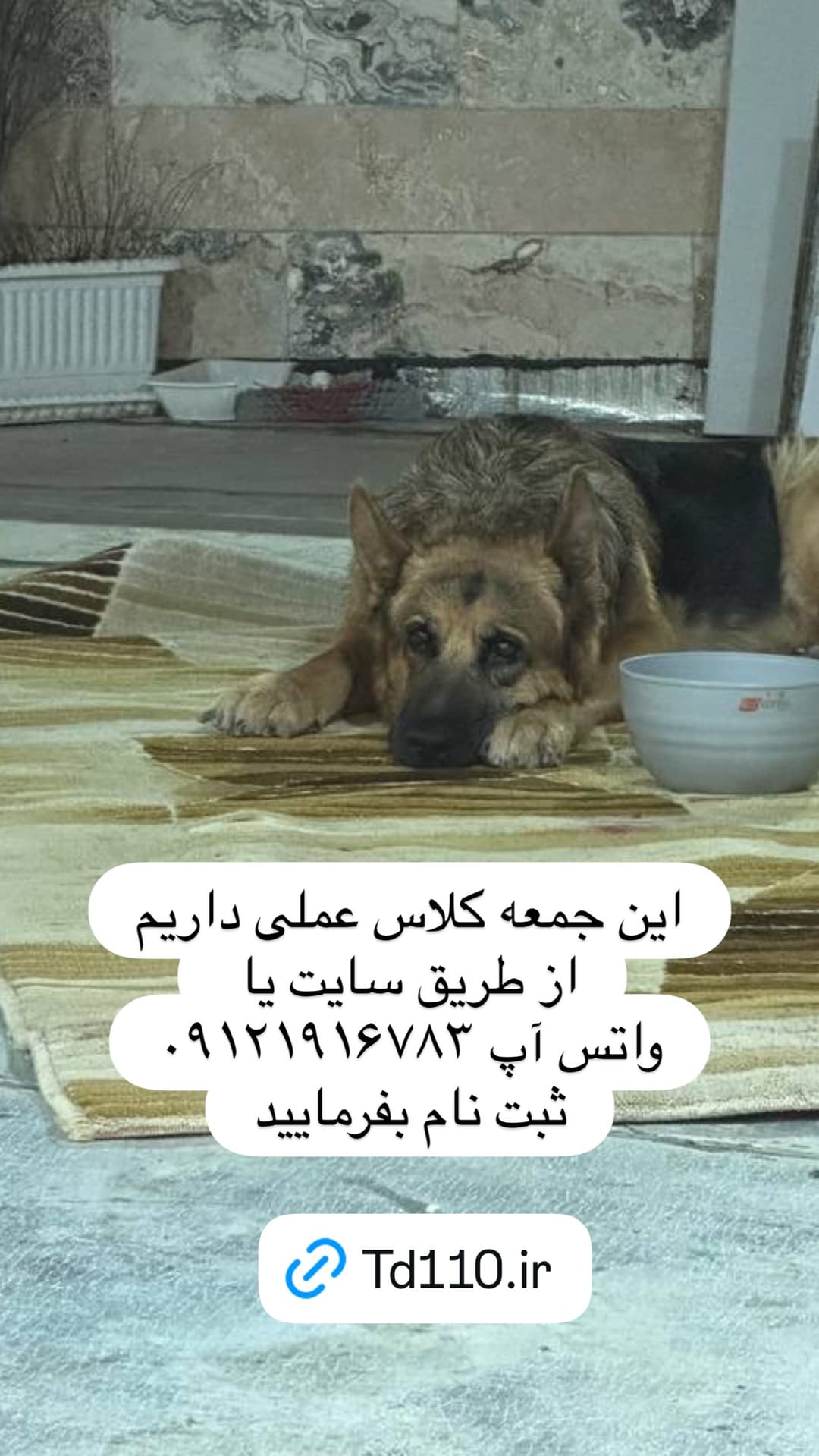 جدید ترین استوری اینستاگرام مسعود رضوی