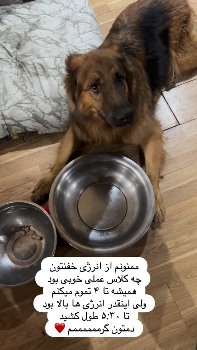  جدید ترین استوری اینستاگرام مسعود رضوی
