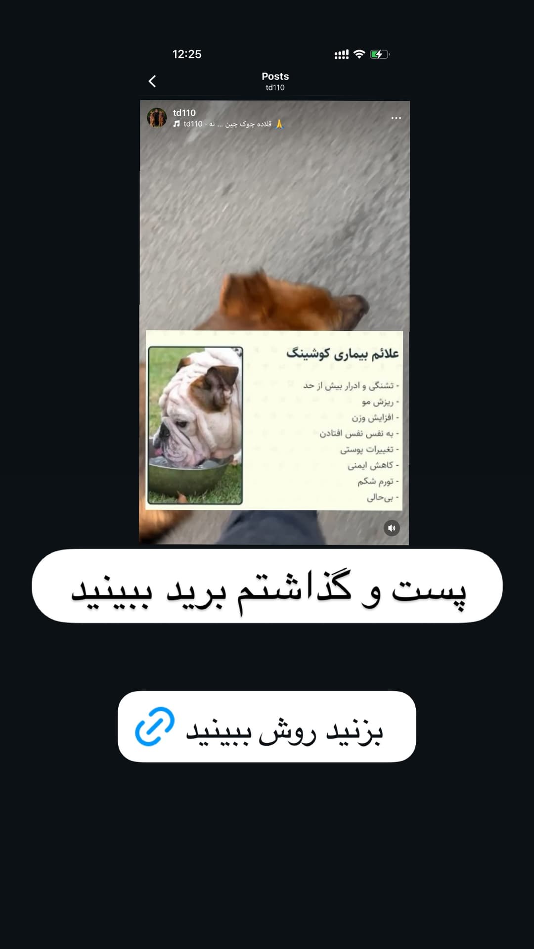  جدید ترین استوری اینستاگرام مسعود رضوی