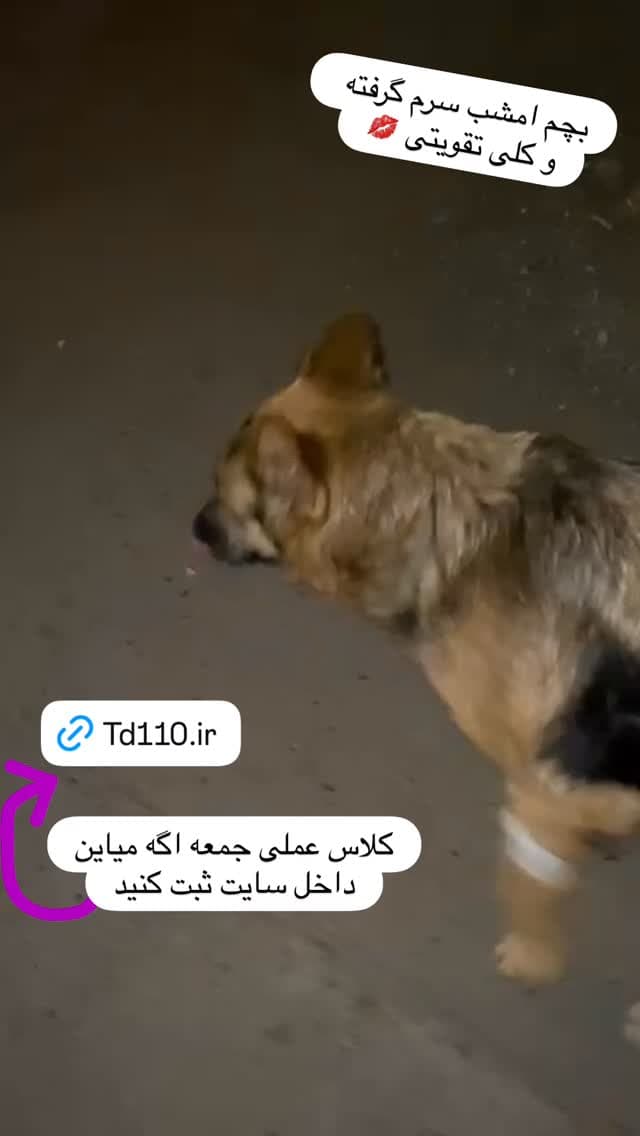  جدید ترین استوری اینستاگرام مسعود رضوی