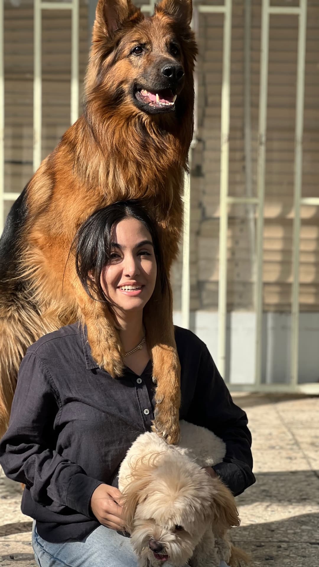  جدید ترین استوری اینستاگرام مسعود رضوی