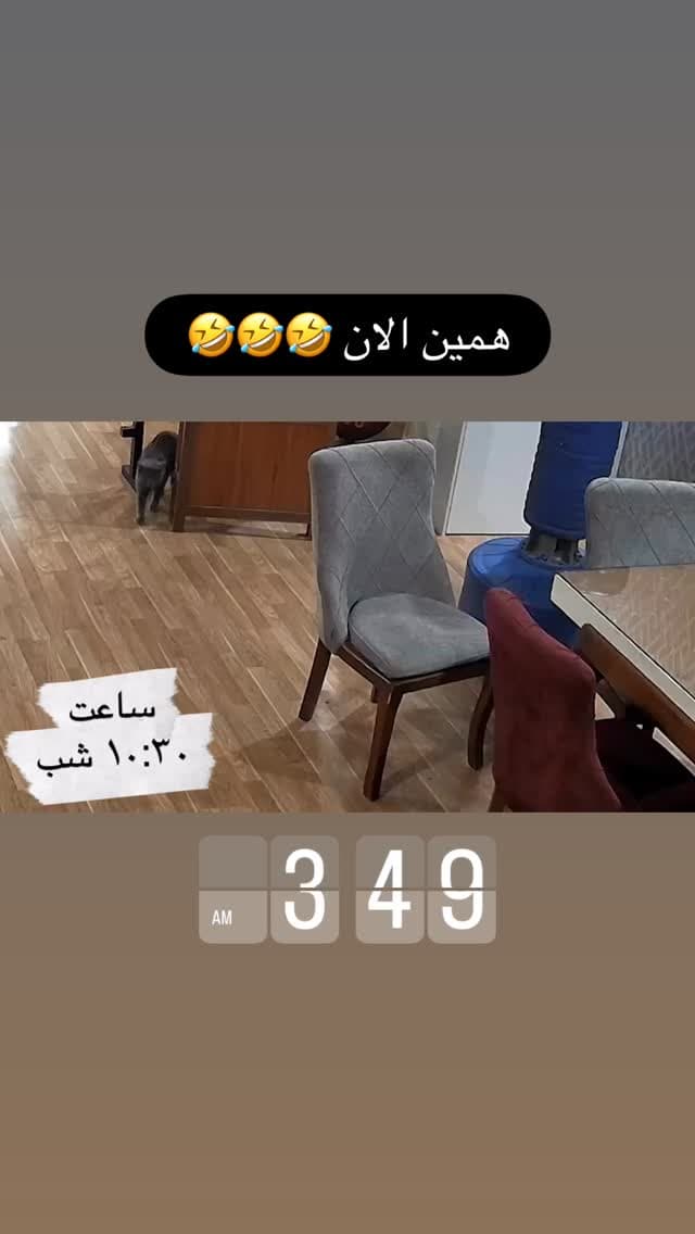  جدید ترین استوری اینستاگرام مسعود رضوی