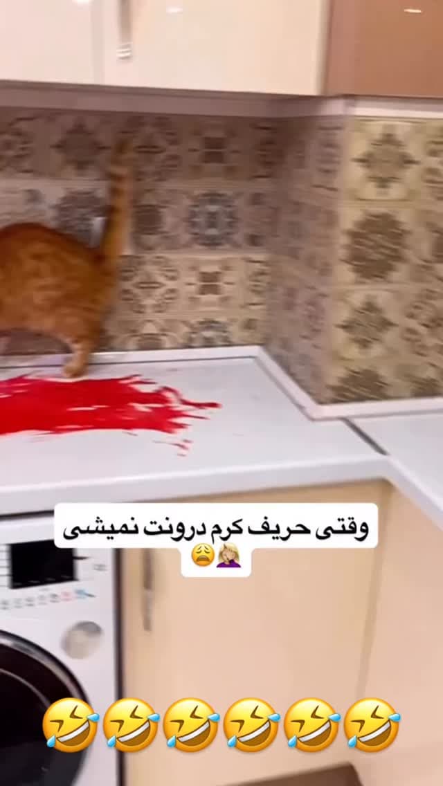  جدید ترین استوری اینستاگرام مسعود رضوی