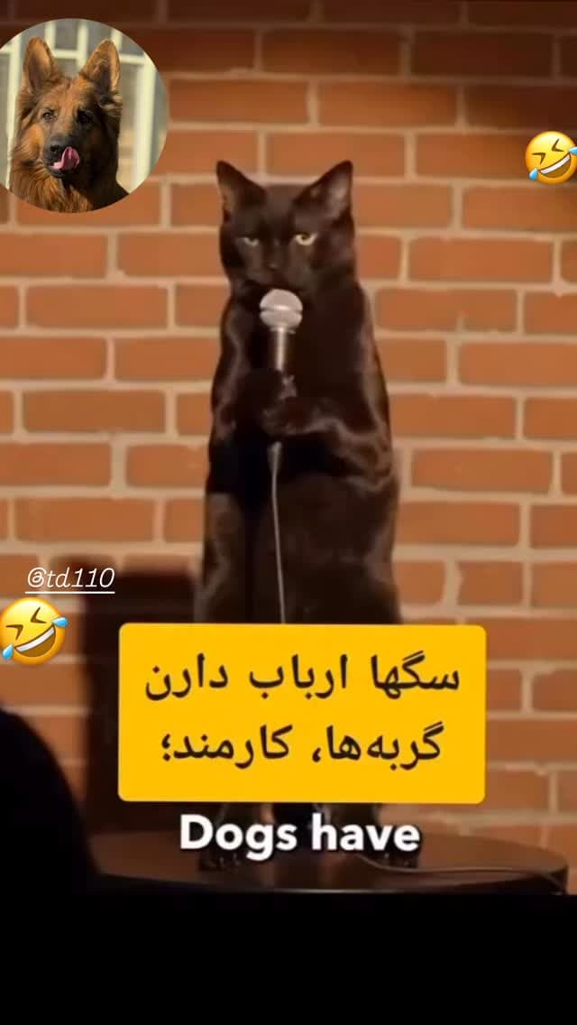  جدید ترین استوری اینستاگرام مسعود رضوی
