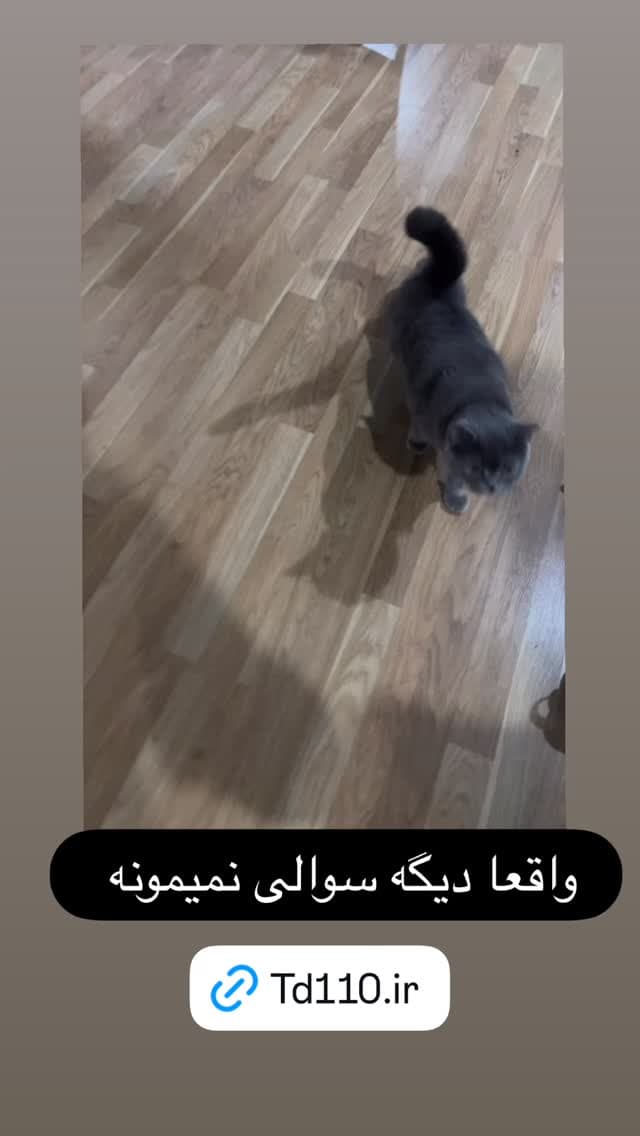  جدید ترین استوری اینستاگرام مسعود رضوی