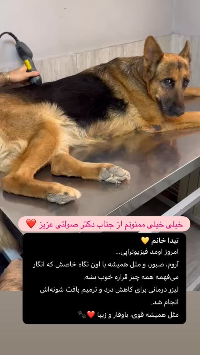  جدید ترین استوری اینستاگرام مسعود رضوی