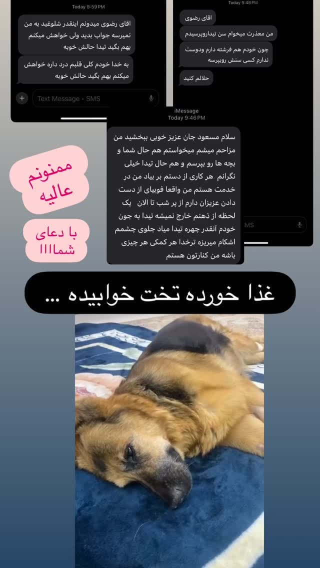  جدید ترین استوری اینستاگرام مسعود رضوی