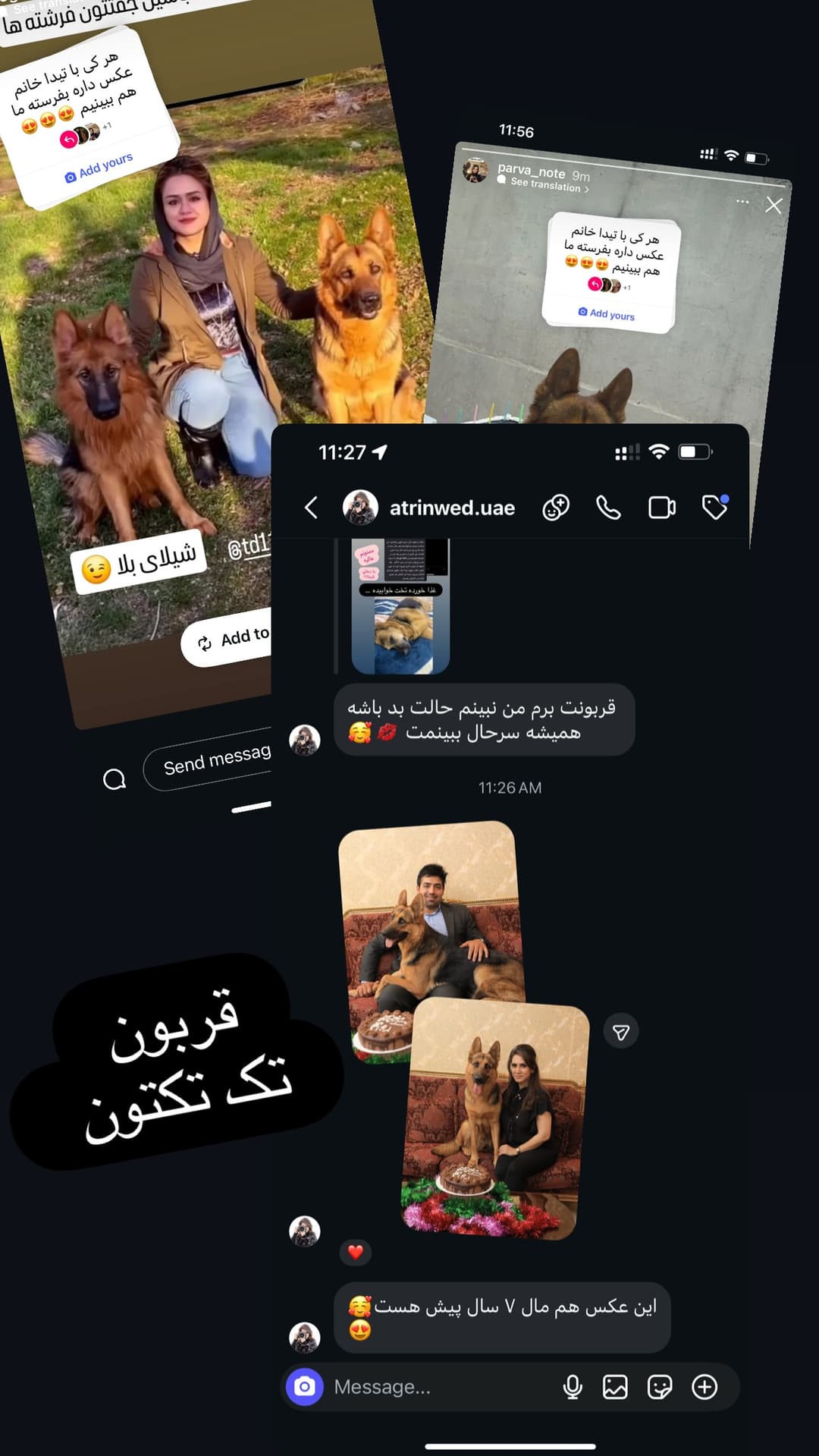  جدید ترین استوری اینستاگرام مسعود رضوی