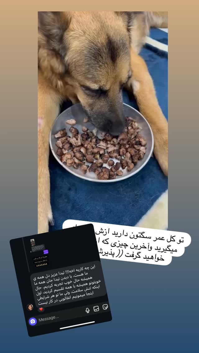  جدید ترین استوری اینستاگرام مسعود رضوی