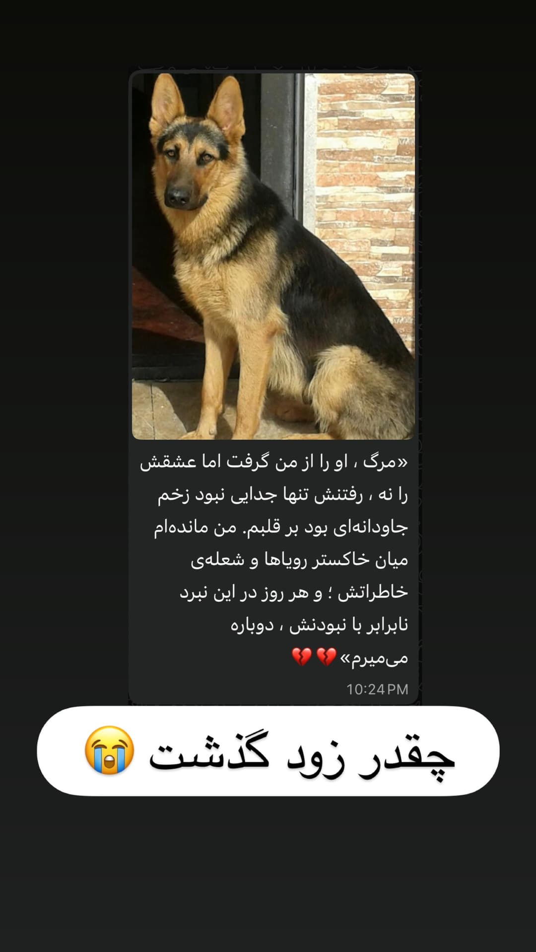  جدید ترین استوری اینستاگرام مسعود رضوی