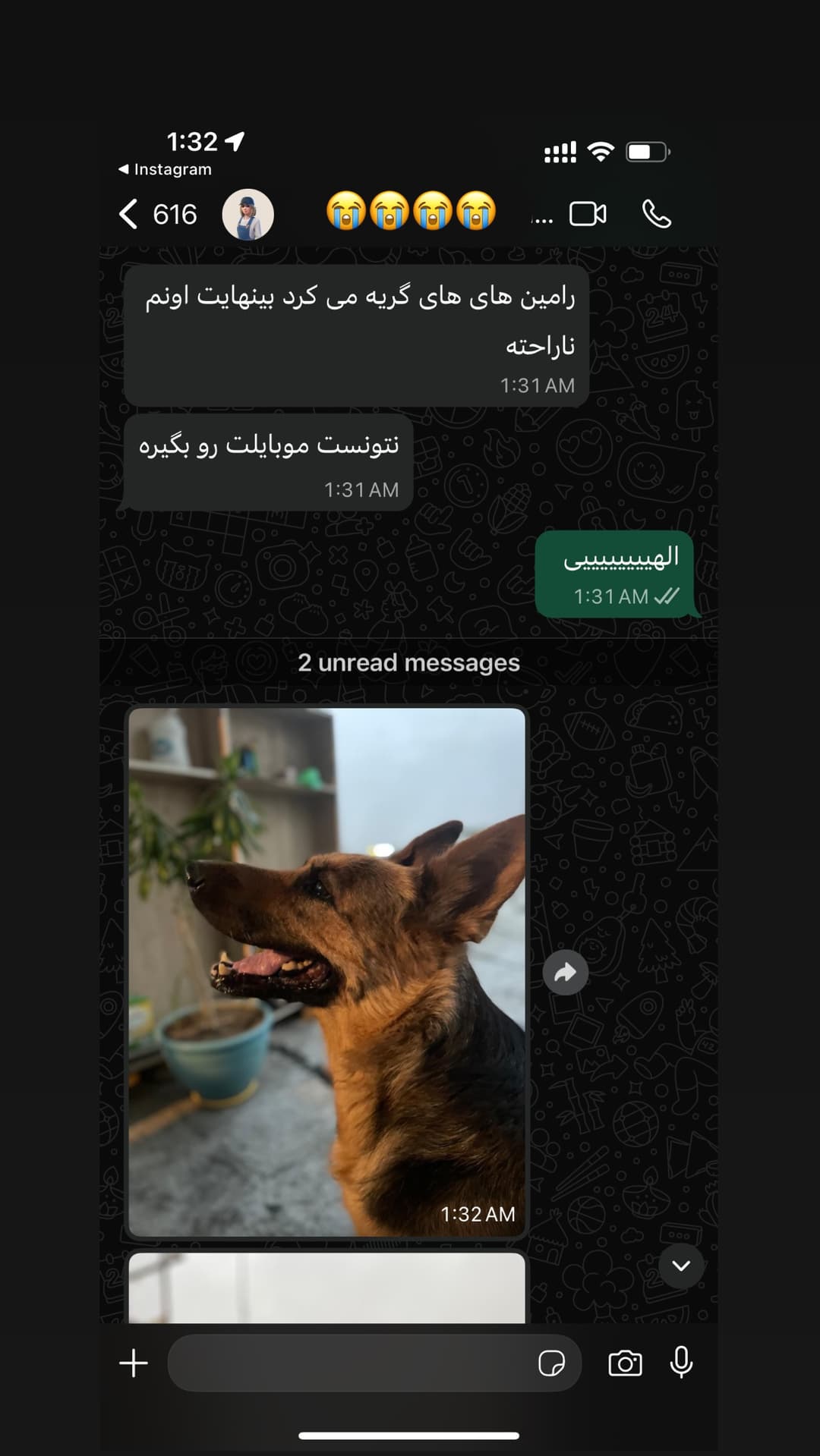  جدید ترین استوری اینستاگرام مسعود رضوی