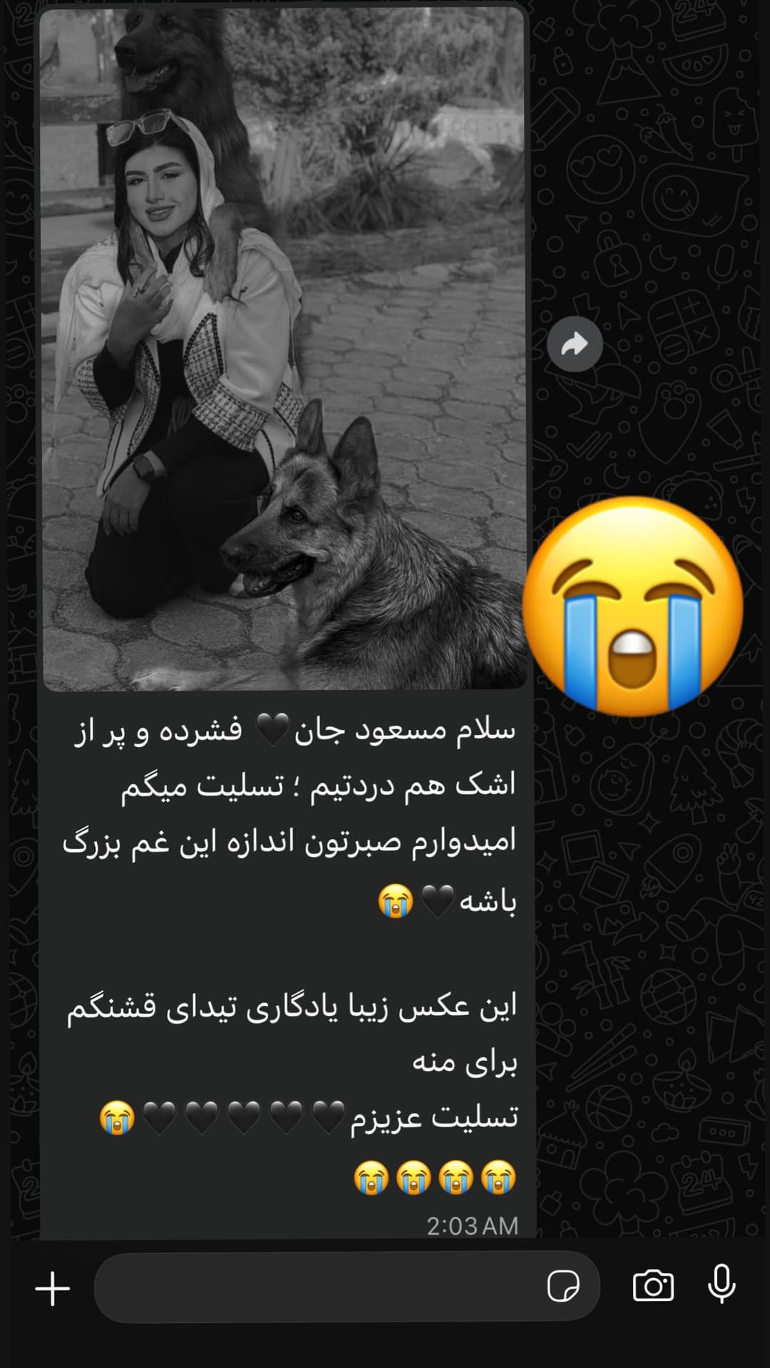  جدید ترین استوری اینستاگرام مسعود رضوی